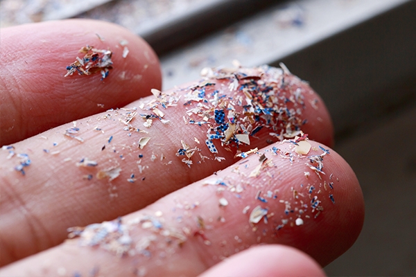 Bagaimana Mikroplastik Ancam Hidup Kita