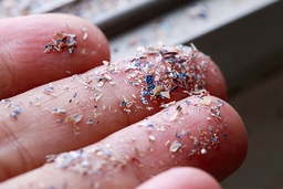 Bagaimana Mikroplastik Ancam Hidup Kita