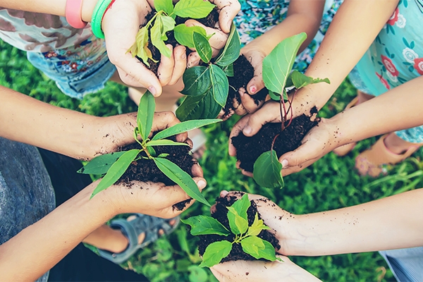 Pinworm: A Common Worm Infection in Children