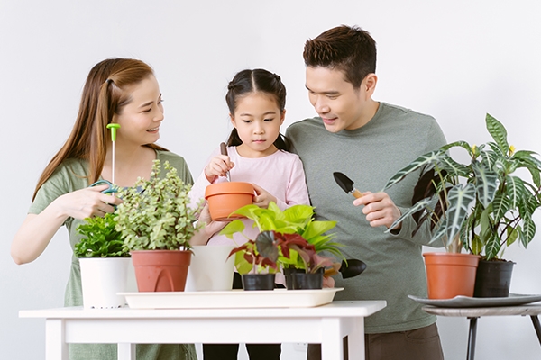 Planting can strengthen emotional bonds between family members.